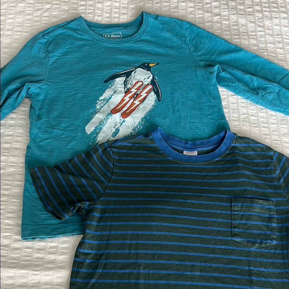 L.L. Bean Hanna Andersson Kids Teal Penguin and Striped Shirt